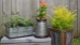 Avera Products @ The Garden Center Show - 