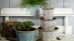 Botanical Collections @ The Garden Center Show - 