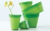 Crescent Garden @ The Garden Center Show - 
