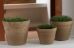 Crescent Garden @ The Garden Center Show - 