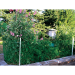 Garden Fence - AmericanNettings-G1