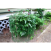 Garden Fence - AmericanNettings-G1