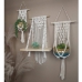 Meesh Drops @ The Garden Center Show - 