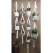 Meesh Drops @ The Garden Center Show - 